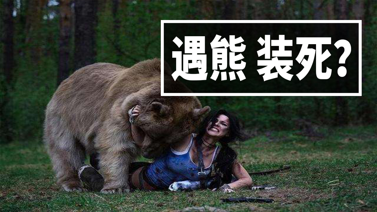 遇熊装死有用?4个骗了你好久的伪知识【A等生】【全民】